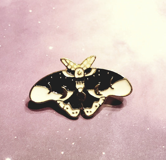 White/Black Star Moth